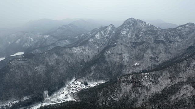 Dense forest with snow-covered mountains in winter