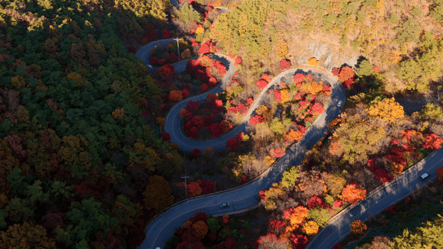 가을 숲을 지나는 구불구불한 도로