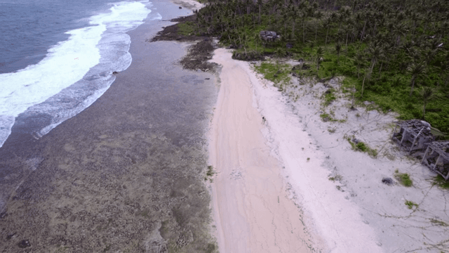 Remote beach with waves and palm trees