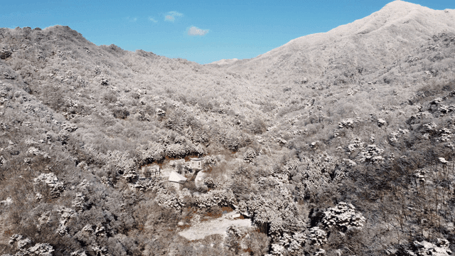 Snow-covered mountains and forest