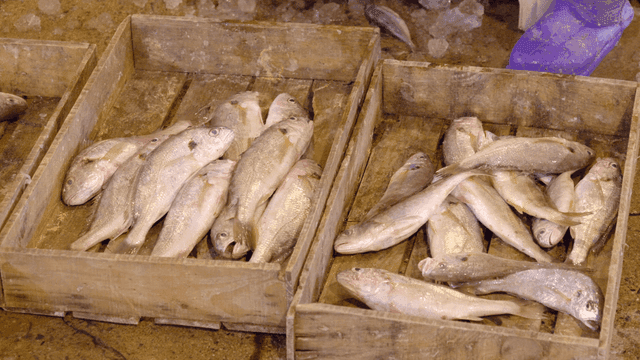 Fresh fish in wooden crates at a market