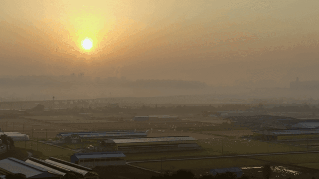 안개 낀 시골 풍경 위로 떠오르는 해