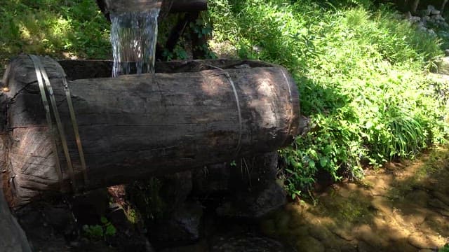 울창한 숲속의 전통 방아