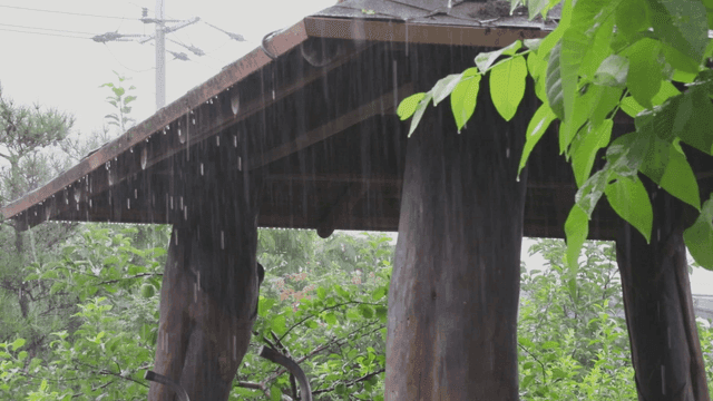 Rain falling on a wooden gazebo in a garden
