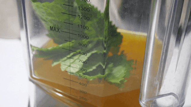 Blender containing orange juice and perilla leaves