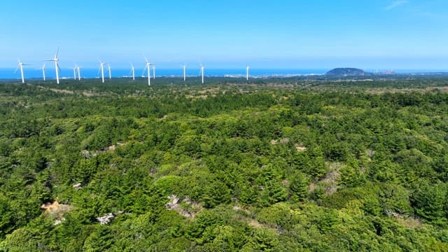 Wind turbines over a lush green forest