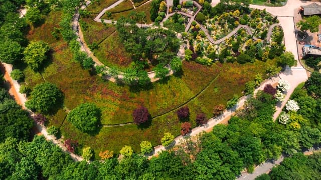 잘 정돈된 공원의 항공 뷰