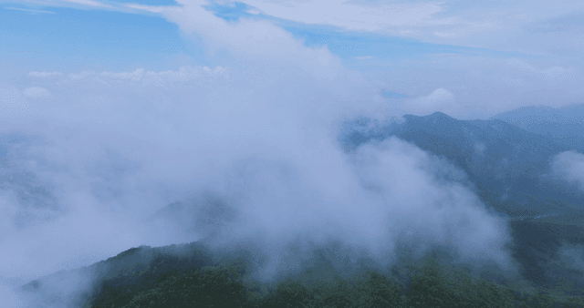 Clouds drifting over lush green mountains