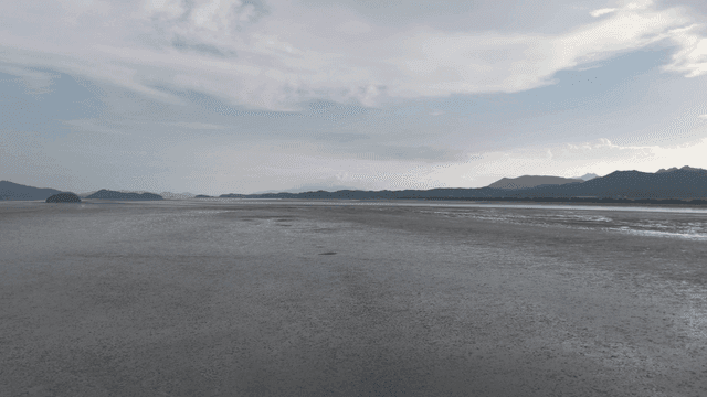 Wide mudflat with mountains visible in distance