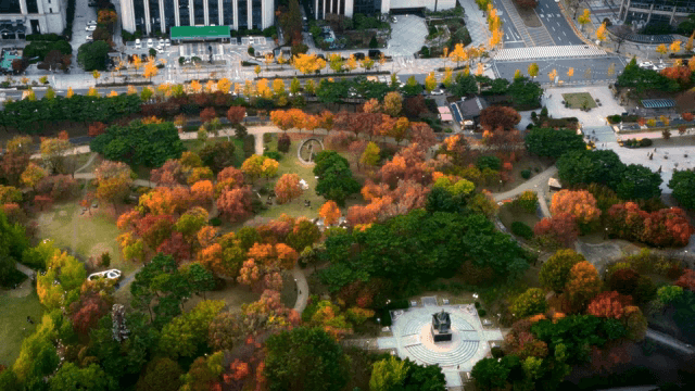 도심 속의 다채로운 가을 공원