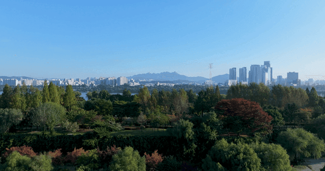 푸른 녹지와 도시 스카이라인