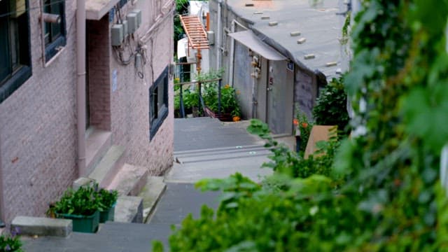 Quiet alley with green plants