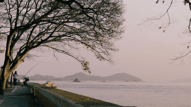 Man fishing at beach