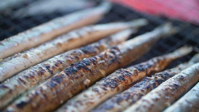 Saury grilled to a golden brown on an outdoor grill