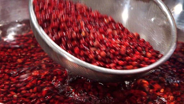 Red beans being washed in a sieve