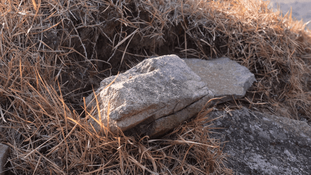 Rocks and dry grass on a mountainside