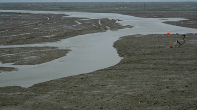 High and low tides of the quiet West Sea tidal flats