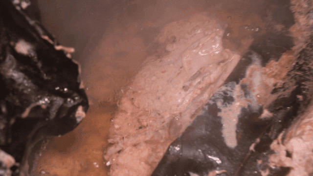 Sight of chicken and kelp boiling in pot