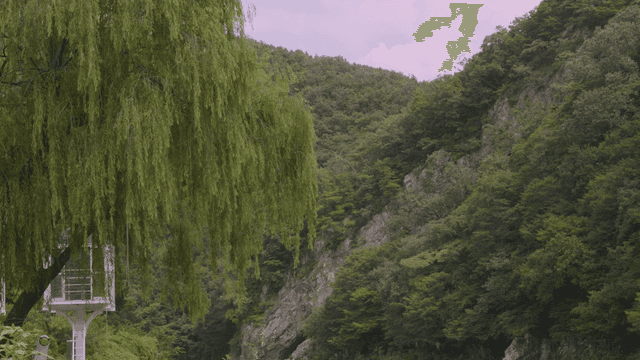 바위 언덕이 있는 푸른 숲