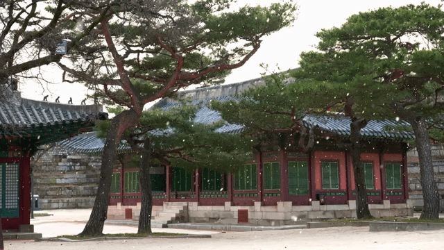 눈이 내리는 창경궁 내부의 풍경
