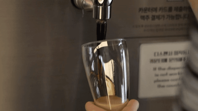 흑맥주가 유리잔에 따라지는 모습