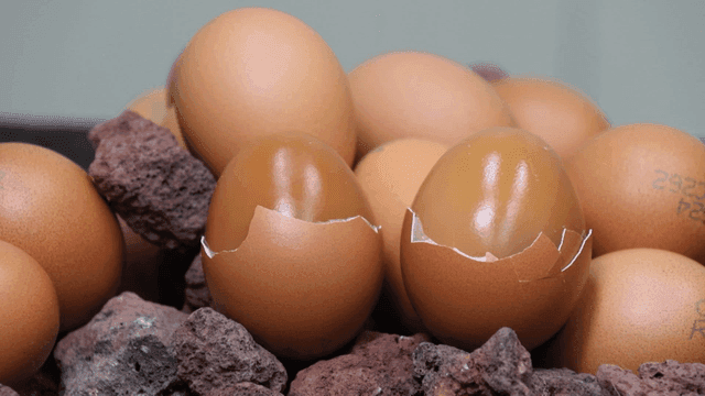 뜨거운 맥반석 위에 구운 계란