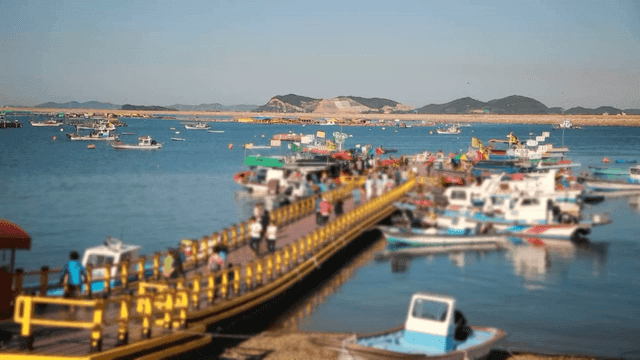 Bustling pier with colorful boats