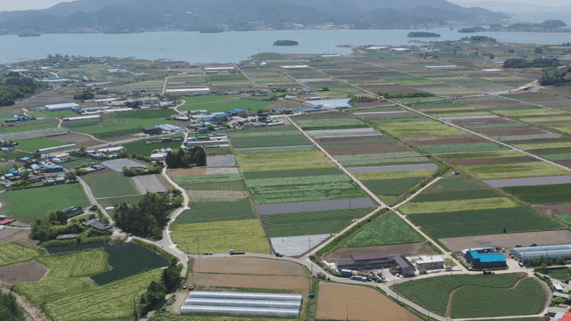 멀리 바다가 보이는 넓은 농경지