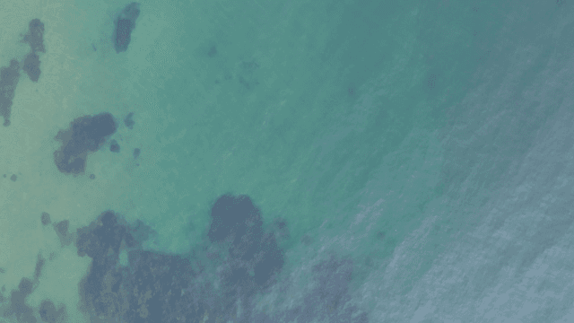 암석이 보이는 맑은 청록색 바다