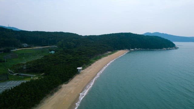 한적한 해안 풍경과 울창한 숲