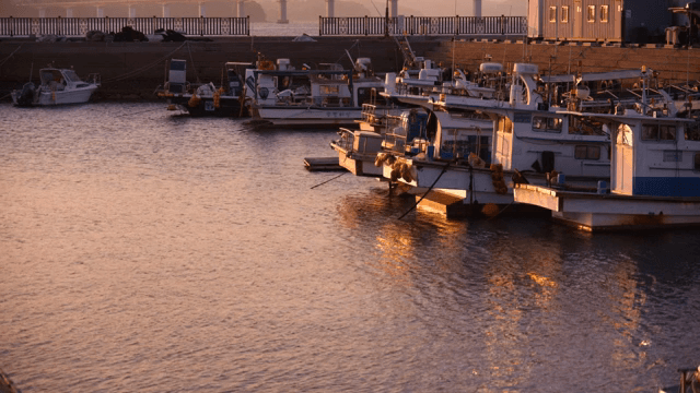 해질녘 고요한 항구에 정박한 배들