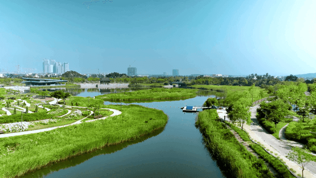 공원을 흐르는 고요한 강