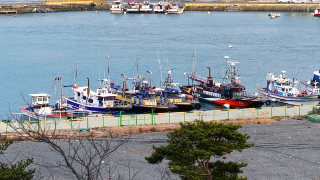 Docked fishing boats in a serene seaside harbor