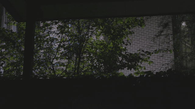 Rain falling on trees before a brick wall