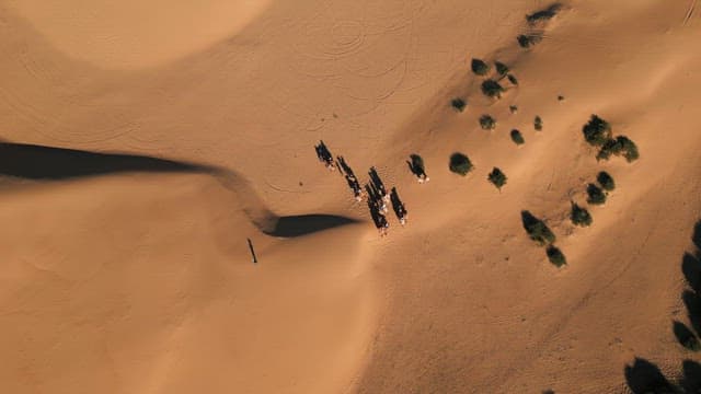 Camels and people in a vast desert