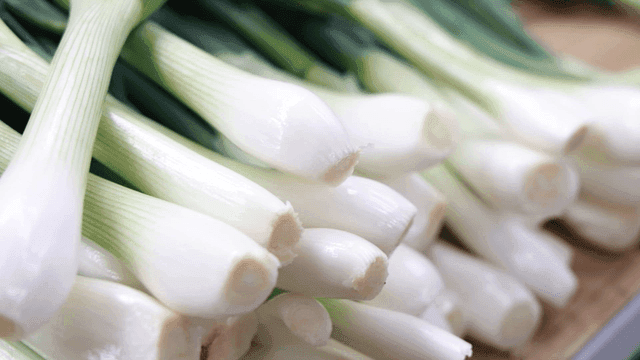 Pile of fresh green onions