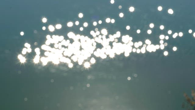 Sunlight reflecting and sparkling on calm water surface