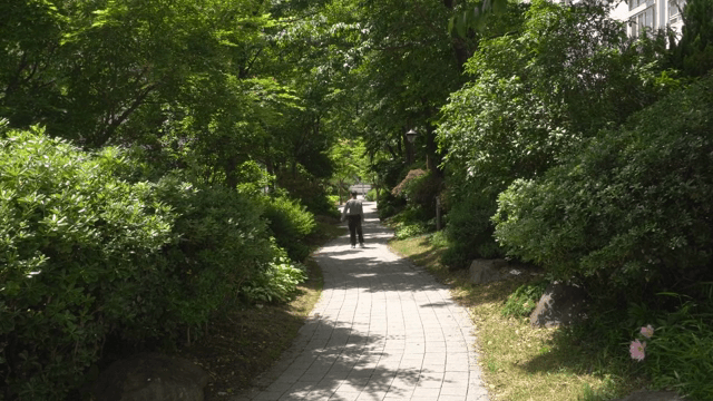 나무가 늘어선 길을 걷는 사람