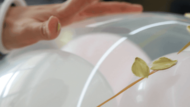Hand decorating balloon with leaves using spatula