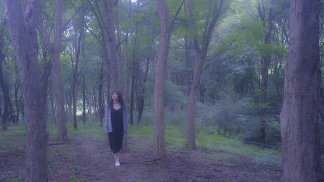 나무 사이로 햇살이 비치는 고요한 숲속을 걷고 있는 여자