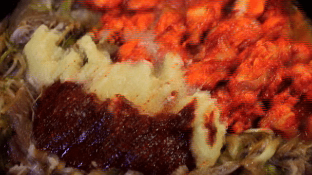 Warm dish with Grilled Beef Large Intestines and Beef Bulgogi