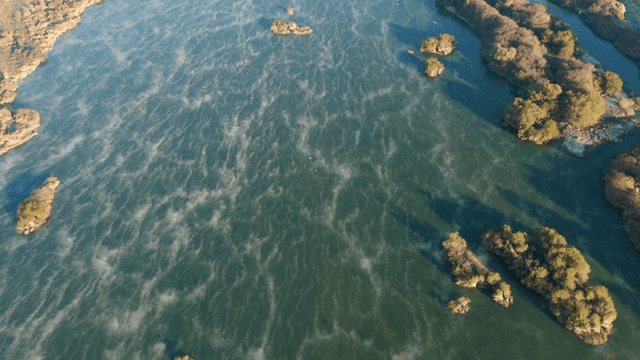 작은 섬이 있는 강의 항공 뷰