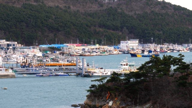 언덕에 둘러쌓인 항구마을의 풍경