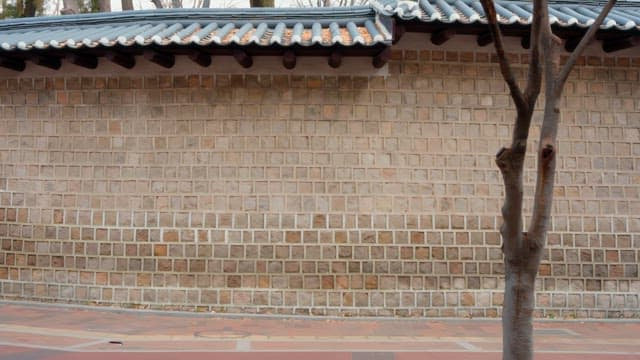 People walking by a traditional Korean wall