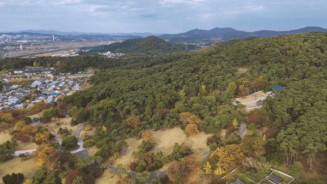 넓은 숲과 인근의 마을
