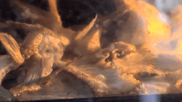 오븐에서 구워지는 생선