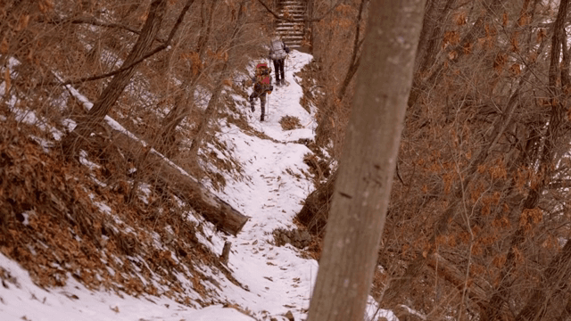 눈 덮인 숲길을 걷는 등산객들