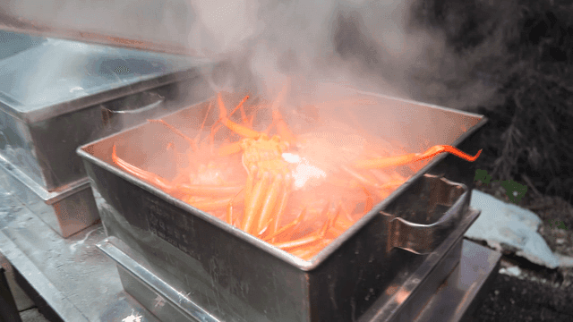 Steamed red crabs being steamed in steamer filled with steam