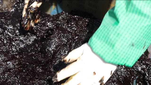 장갑을 끼고 파래를 다루는 사람