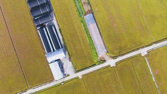 Rural landscape with fields and roads